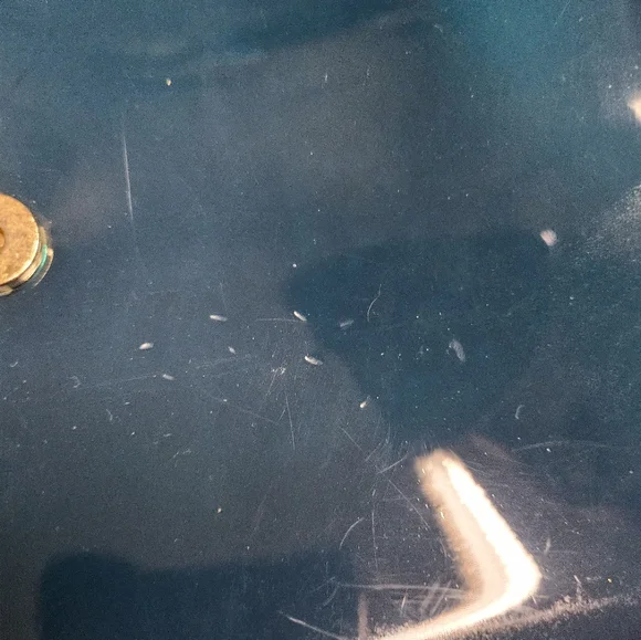 Dolce & Gabbana Teal Blue Sicily Small Crossbody Bag - Picture 9 of 16